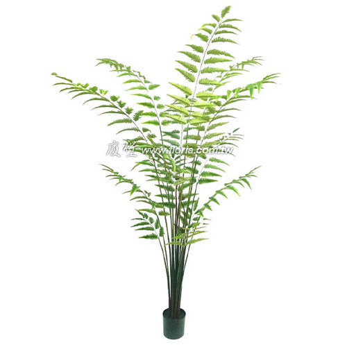 莢果蕨210cm  |人造植栽|人造樹