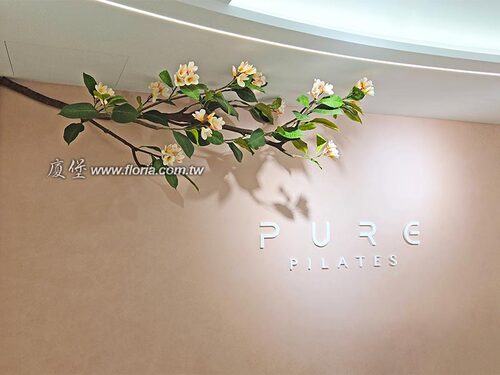 【中壢 Pure pilates 皮拉提斯】