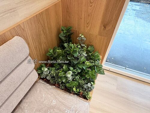 【台北 雪坊精品優格新莊中原店】