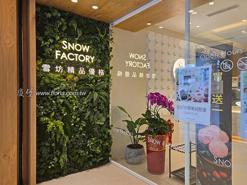 【台北 SNOW FACTORY雪坊康寧門市】  |近期作品|近期作品