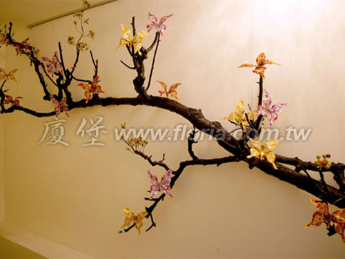 【 住家造景 】  |造景實績|造景實績
