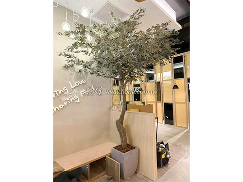 【 台茂 貳樓餐廳 】