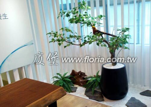【 天母研 】  |造景實績|造景實績