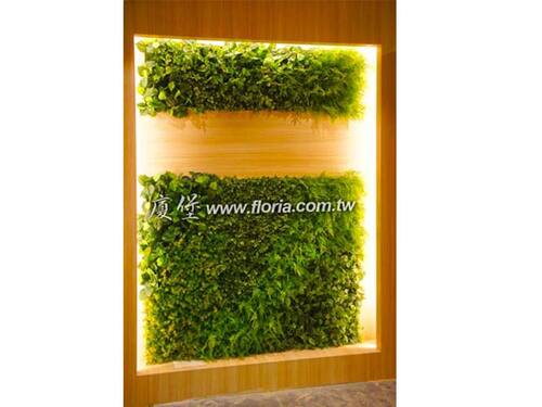 【 桃園機場壢新醫院 】  |造景實績|人造植栽牆