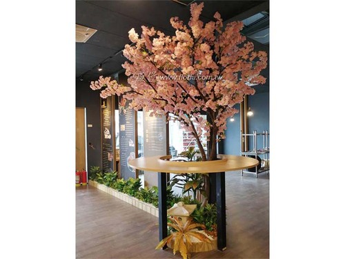 【 九湯屋拉麵 台南安和店 】