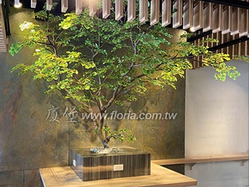 【 九湯屋拉麵 台南安平店 】