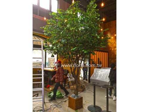 【 桃園 丹馬克咖啡 藝文店 】  |造景實績|大型人造樹