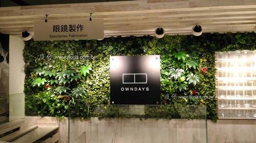 【OWNDAYS 台中勤美誠品】  |造景實績|人造植栽牆