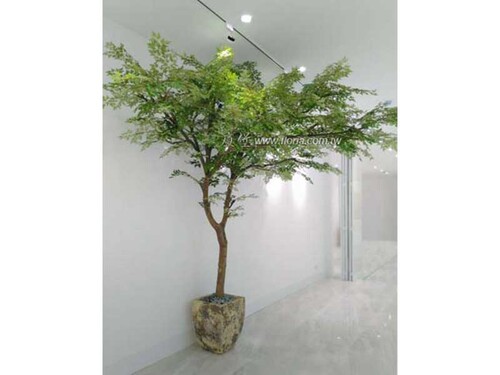 【 聖德福田妙國 】  |造景實績|大型人造樹