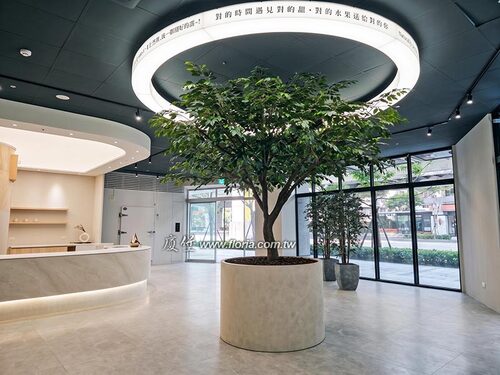 【新北 水果禮盒專賣店 人造樹】