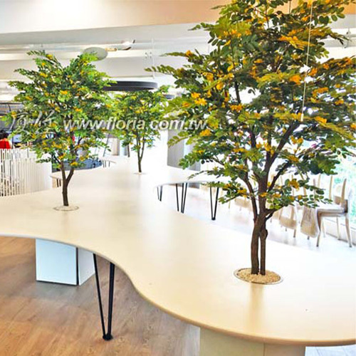 【 黃槐樹 】  |人造植栽|大型真幹樹