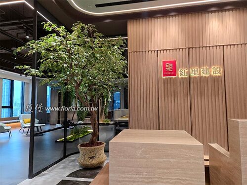 【汐止 紅里建設人造植樹工程】