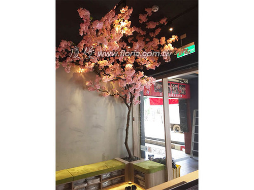 【 指舞春秋 士林店 】