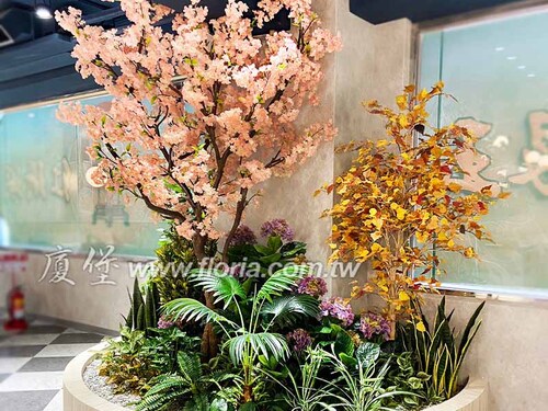 【 養鍋 花蓮店】