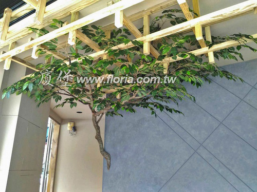 【 蟬吃茶 竹科店 】  |造景實績|大型人造樹