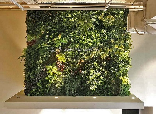【 台中辦公大樓 】  |造景實績|人造植栽牆