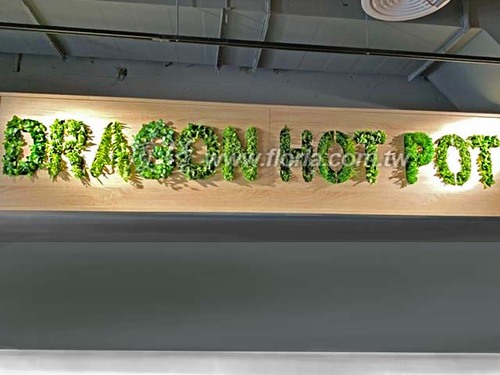 【 DRAGON火鍋台北店 】  |造景實績|人造草皮牆