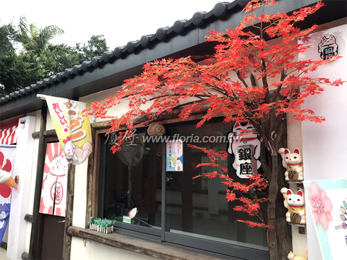 【 蛋寶生技不老村 】  |近期作品|近期作品