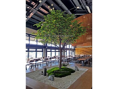 【 桃園 臺灣客家茶文化館 】