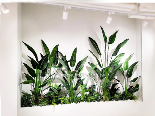 【 D+AF 西門店 】