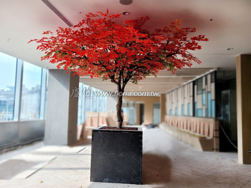 【 南港 日式餐廳 】