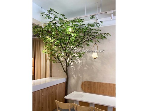 【 桃園 彩湯食餐廳 】  |近期作品|近期作品