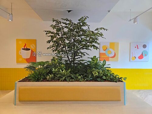 【 QBurger 中壢店】