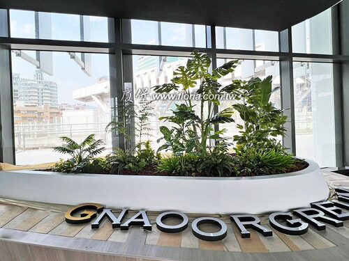 【高雄 海洋音樂祭】