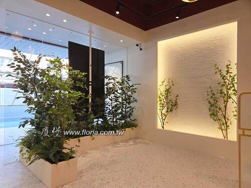 【 Jewel Cafe 桃園復興店 | 穿透日照與光影的綠色屏風 】