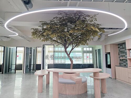 【新北 生醫科技公司】