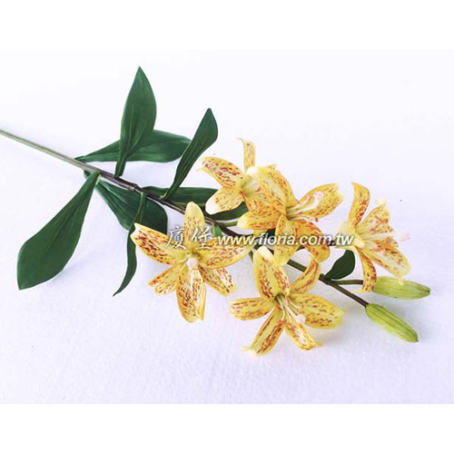 虎斑袖珍蘭  |人造植栽|人造花