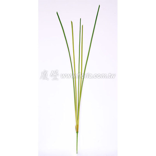 香蒲  |人造植栽|人造植物 / 植栽