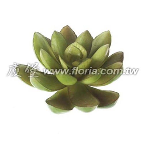 石蓮-秋  |人造植栽|人造植物 / 植栽