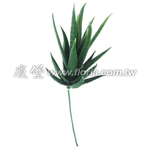 鷹爪蘆薈  |人造植栽|人造植物 / 植栽