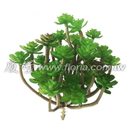 仙人棵  |人造植栽|人造植物 / 植栽