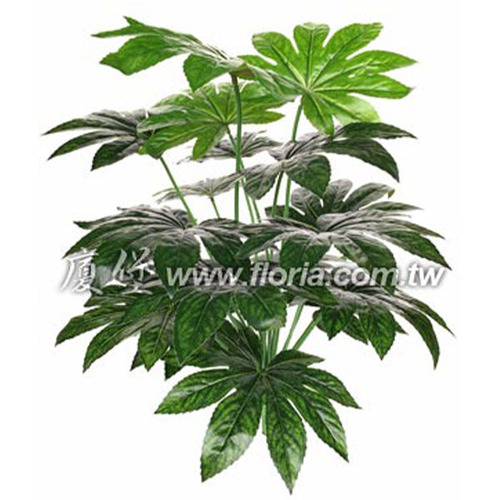 八角金盤  |人造植栽|人造植物 / 植栽