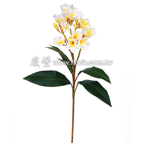 雞蛋花  |人造植栽|人造花