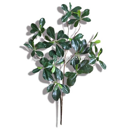 小葉欖仁 (福祿桐單支)  |人造植栽|人造植物 / 植栽