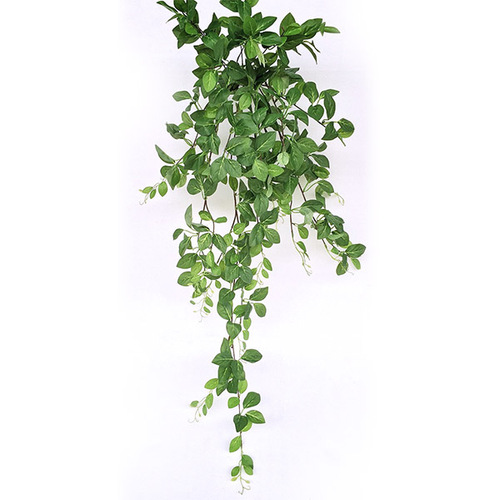 胡姬蔓  |人造植栽|人造植物 / 植栽