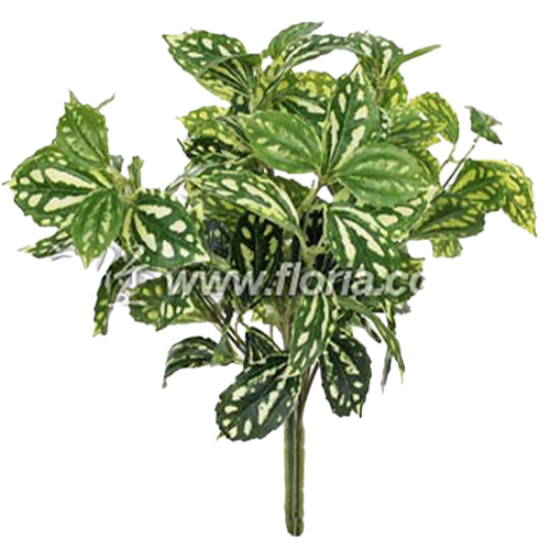 冷水葉  |人造植栽|人造植物 / 植栽