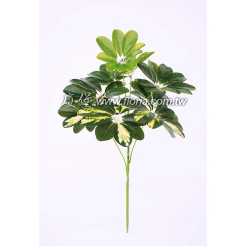 鴨掌木  |人造植栽|人造植物 / 植栽