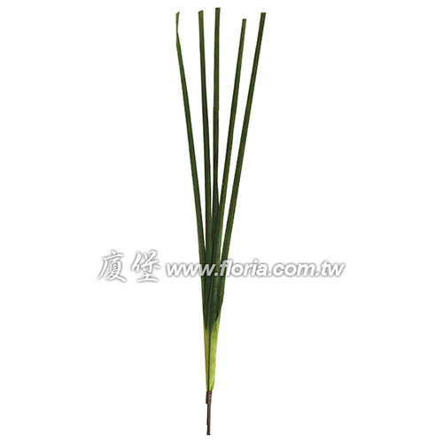 小竹葉  |人造植栽|人造植物 / 植栽