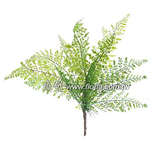 羊齒蕨  |人造植栽|人造植物 / 植栽