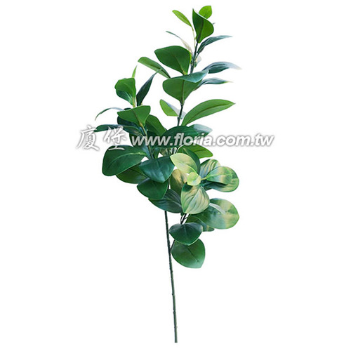 豆瓣葉  |人造植栽|人造植物 / 植栽