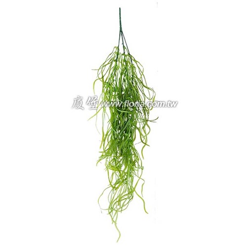 海帶藤  |人造植栽|人造植物 / 植栽