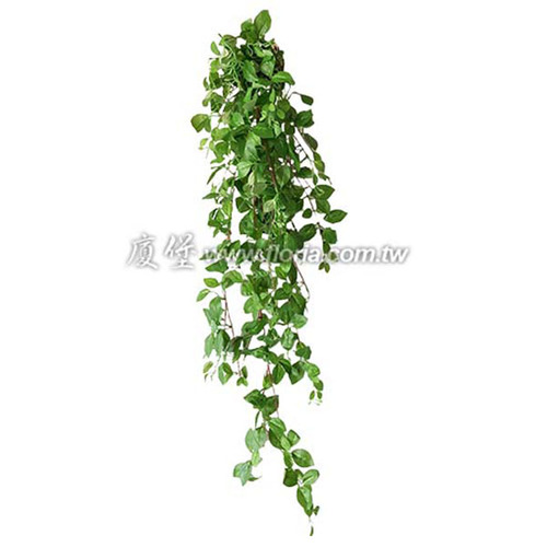 牽牛葉  |人造植栽|人造植物 / 植栽