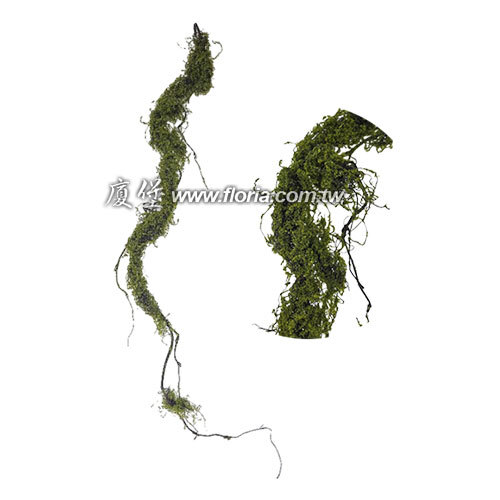 苔癬珊瑚藤  |近期作品|新進產品