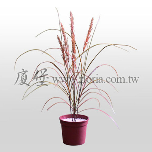 蘆葦草  |人造植栽|人造植物 / 植栽