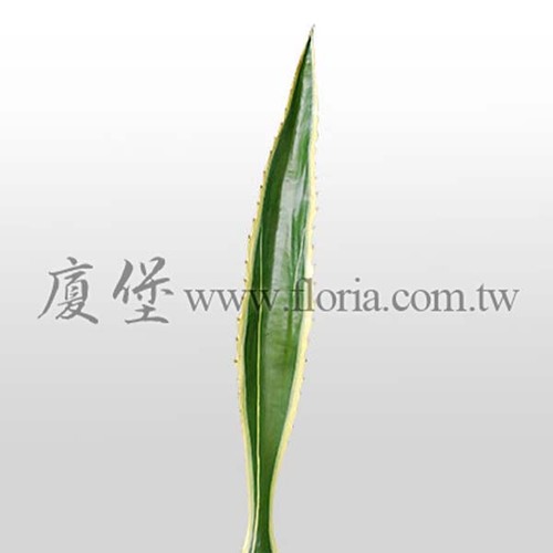 黃邊龍舌蘭-單片  |人造植栽|人造植物 / 植栽