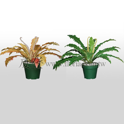 鋸齒山蘇 (秋色/綠色)  |人造植栽|人造植物 / 植栽